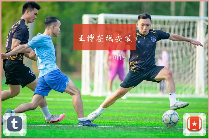 亚搏在线安装
