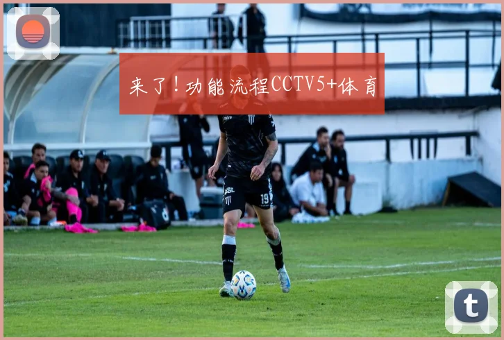 来了!功能流程CCTV5+体育