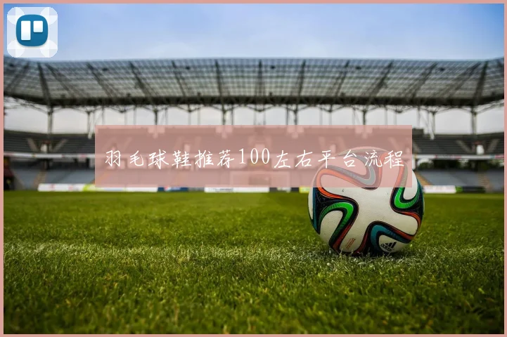 羽毛球鞋推荐100左右平台流程