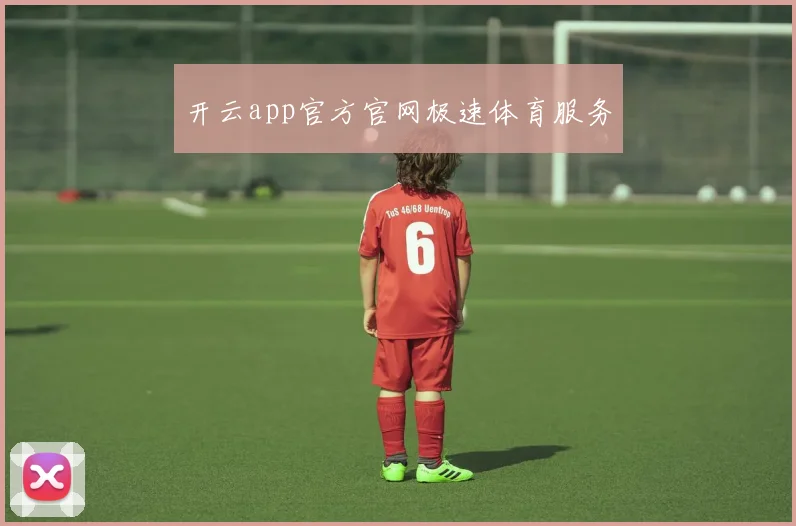 开云app官方官网极速体育服务