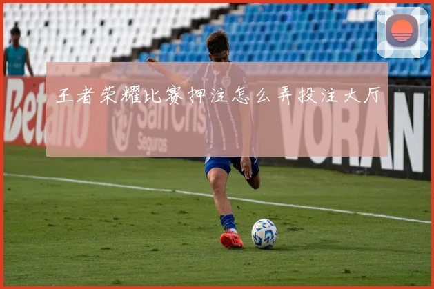 王者荣耀比赛押注怎么弄投注大厅