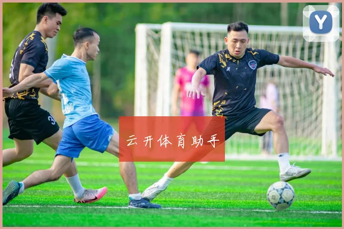 云开体育助手