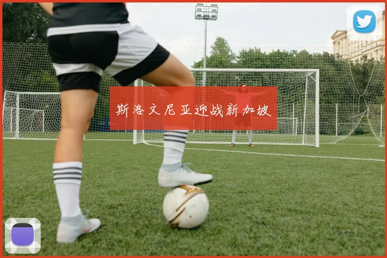 斯洛文尼亚迎战新加坡