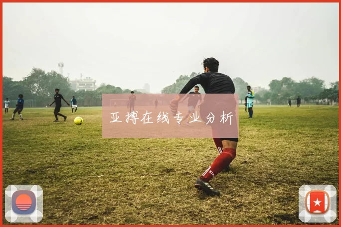 亚搏在线专业分析