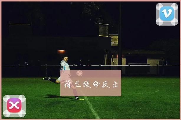 荷兰致命反击