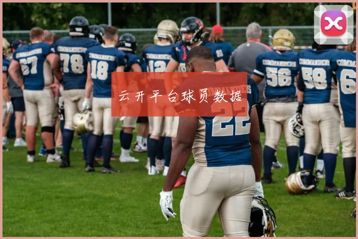 云开平台球员数据