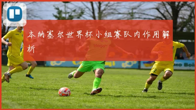 本纳塞尔世界杯小组赛队内作用解析