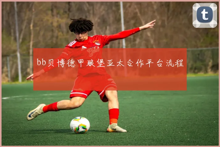 bb贝博德甲狼堡亚太合作平台流程