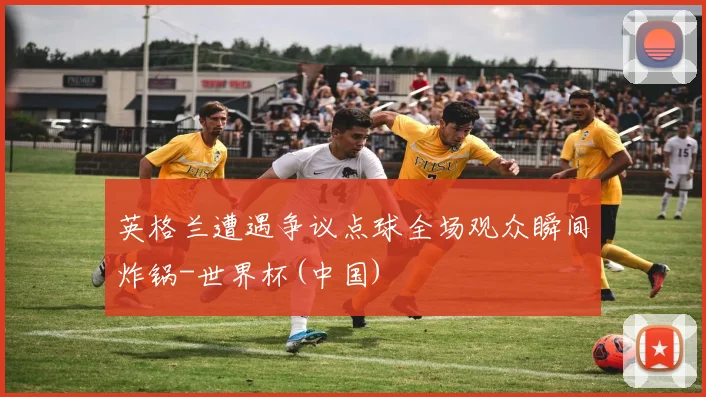 英格兰遭遇争议点球全场观众瞬间炸锅-世界杯(中国)