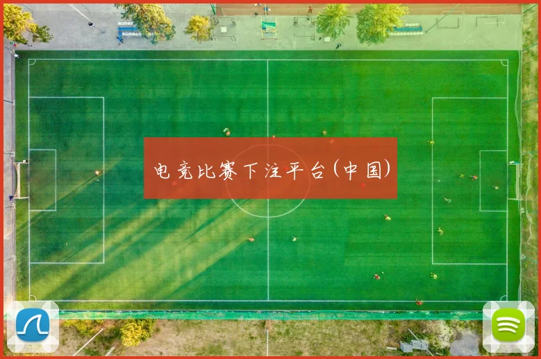 电竞比赛下注平台(中国)