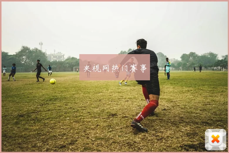 央视网热门赛事