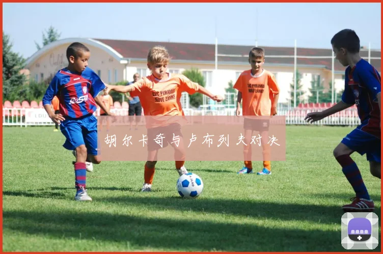 胡尔卡奇与卢布列夫对决