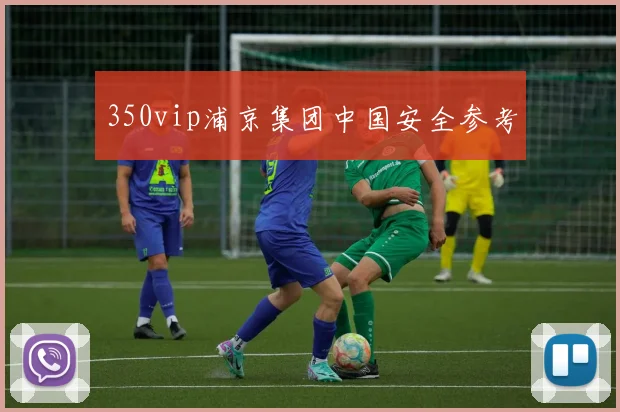 350vip浦京集团中国安全参考
