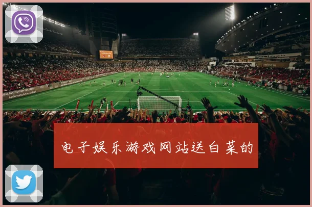 电子娱乐游戏网站送白菜的