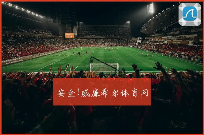 安全!威廉希尔体育网