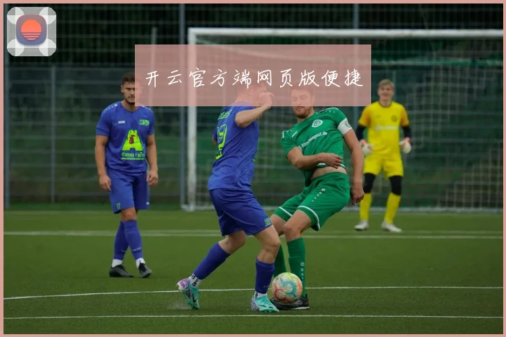 开云官方端网页版便捷