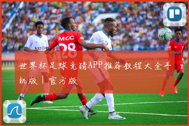 世界杯足球竞猜APP推荐教程大全手机版｜官方版