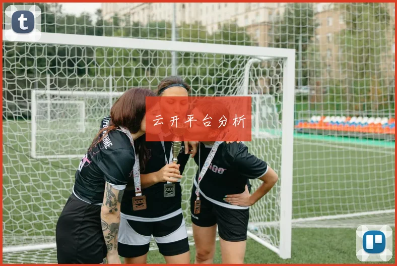 云开平台分析