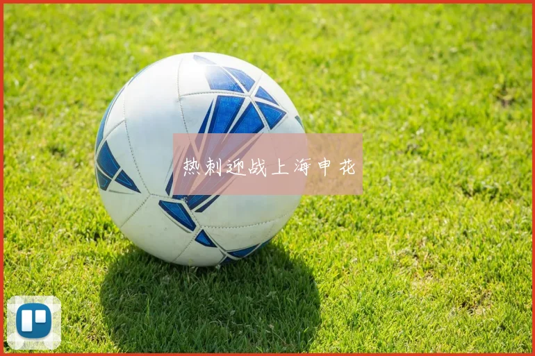 热刺迎战上海申花