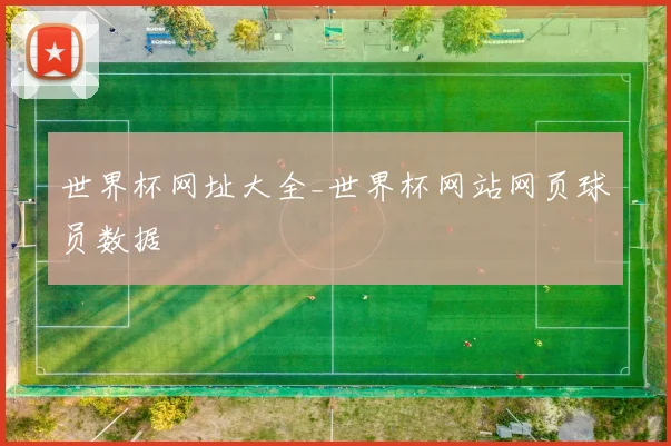 世界杯网址大全_世界杯网站网页球员数据