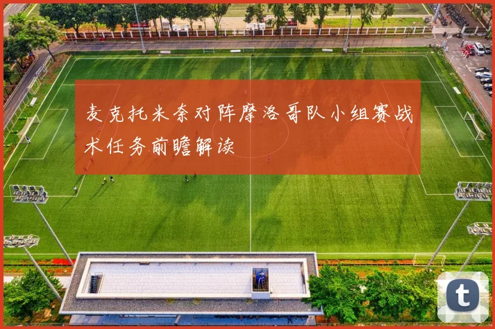 麦克托米奈对阵摩洛哥队小组赛战术任务前瞻解读
