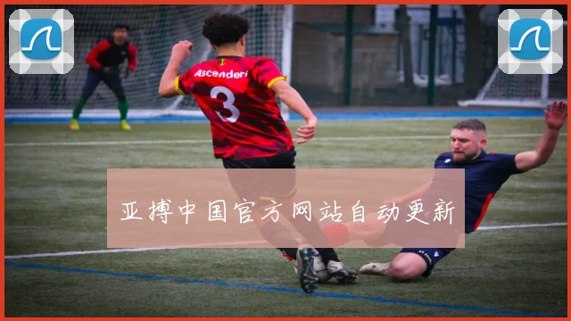 亚搏中国官方网站自动更新