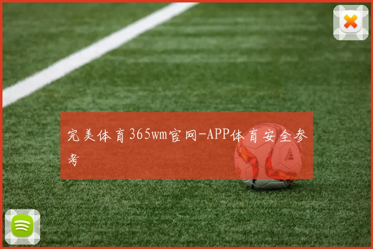 完美体育365wm官网-APP体育安全参考