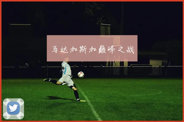 马达加斯加巅峰之战