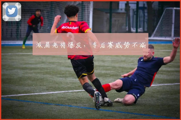 浓眉老将爆发，季后赛威势不减