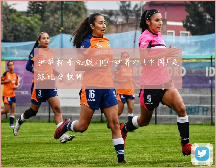 世界杯手机版app-世界杯(中国)足球比分软件