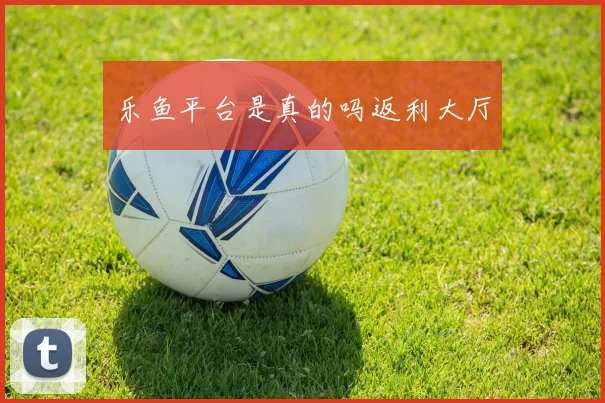 乐鱼平台是真的吗返利大厅
