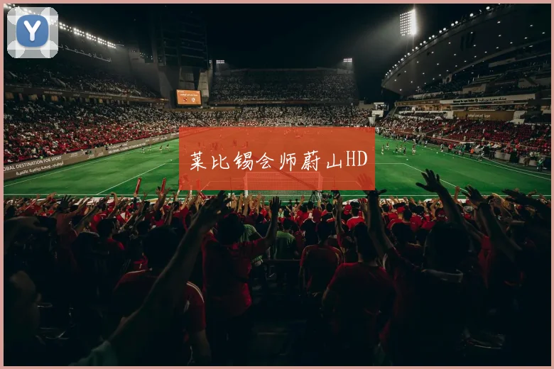 莱比锡会师蔚山HD