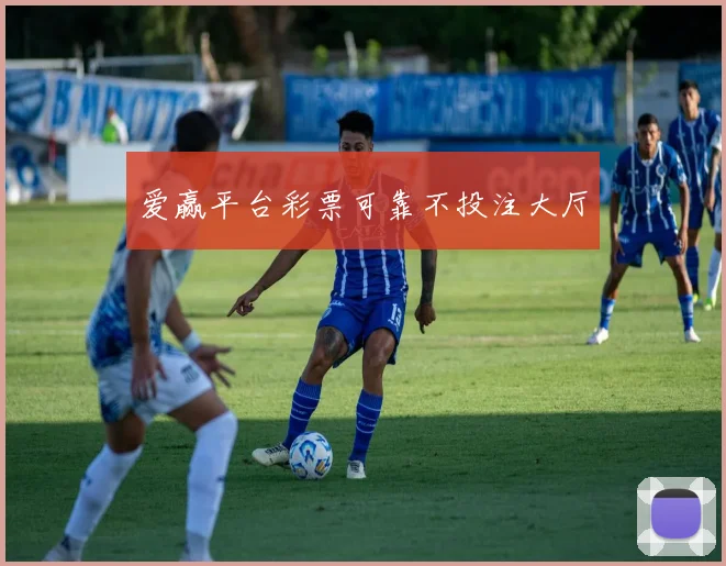 爱赢平台彩票可靠不投注大厅