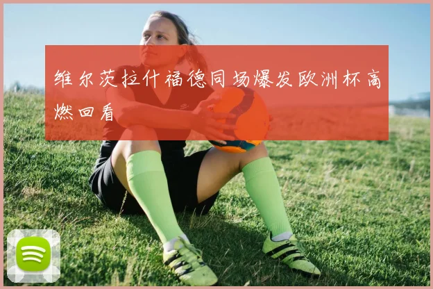 维尔茨拉什福德同场爆发欧洲杯高燃回看