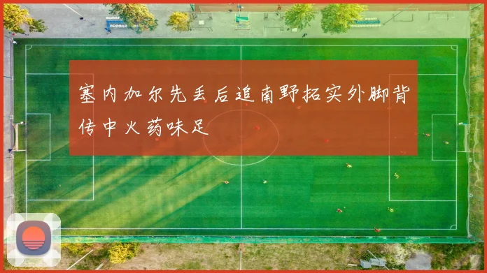 塞内加尔先丢后追南野拓实外脚背传中火药味足