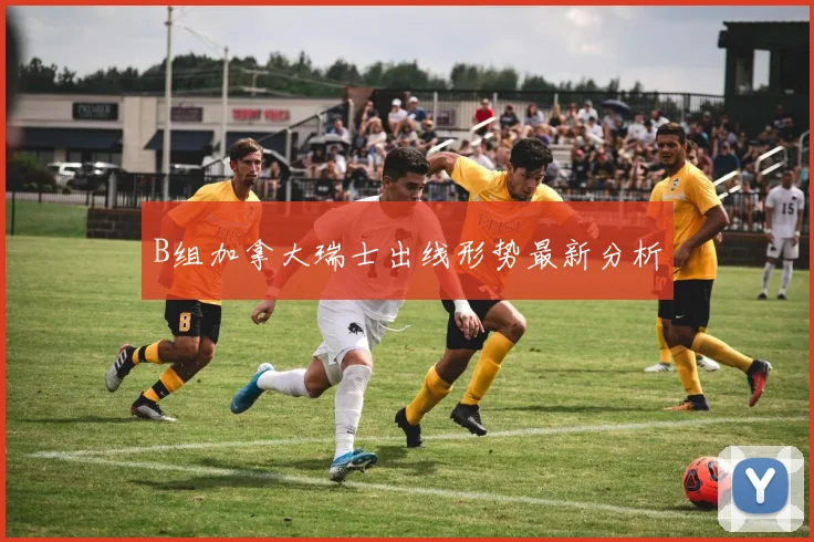 B组加拿大瑞士出线形势最新分析