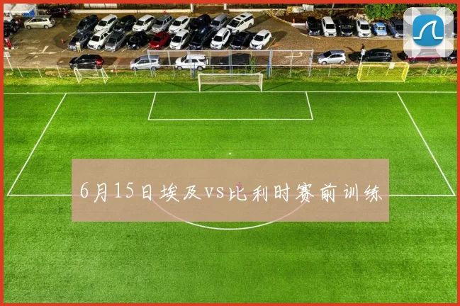 6月15日埃及vs比利时赛前训练